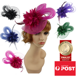 Women's Mesh and Feather Detailing Fascinators